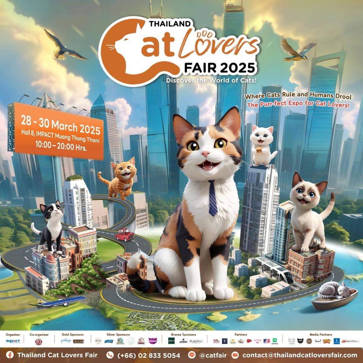 2025 – рай для любителей кошек!